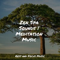 Serene - Baby Sweet Dream & Classical Lullabies & Music For Absolute Sleep