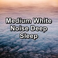 Sleep Eze for Relaxation - Study Alpha Waves & White Noise Therapy & Fan Sounds