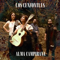 El Asesino - Los Cenzontles