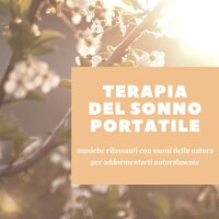 Rilassamento naturale - Suoni per Dormire