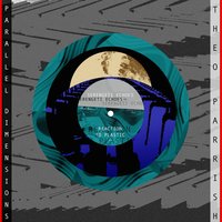 Serengeti Echoes - Theo Parrish
