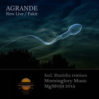 New Live - Agrande