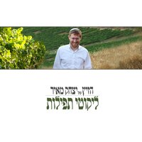 ידיד נפש - יצחק מאיר