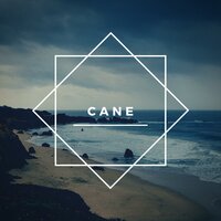 Freedom - Cane