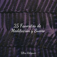 Calma Sísmica - Música Instrumental Maestro & Meditação Maestro & Masajes Spas