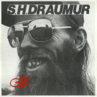Glæpur gegn ríkinu - S.H. Draumur