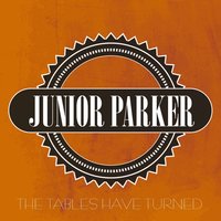 Sweet Home Chicago - Junior Parker
