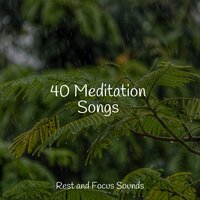 Calm Comforting Clouds - Deep Relaxation Meditation Academy & Música para Relaxar Maestro & Ambient Forest