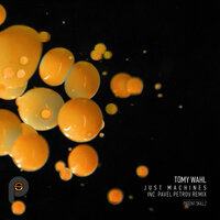 Just Machines - Tomy Wahl & Pavel Petrov