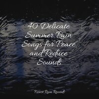 Storm & Wind Outside - Sounds of Nature White Noise for Mindfulness Meditation and Relaxation & Soothing Chill Out For Insomnia & Rain Makers