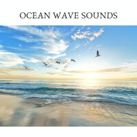 ASMR Ocean Waves - ASMR Earth & ASMR Ocean Sounds