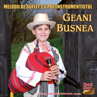 Bătuta voronarilor - Geani Busnea