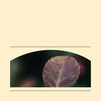 Lovely (Self Care Days) - Musica per Leggere
