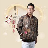 等爱回来 - 林羽锋 & 林必媜
