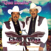 Fue una Aventura Más - Chuy Vega