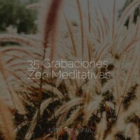 Paz en Los Prados - Masaje Relajante Masters & Musica Relaxante & Meditação Maestro