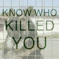 Know Who Killed You - Mattis Myrland