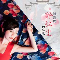 醉红尘-DJ何鹏版 - 魏新雨