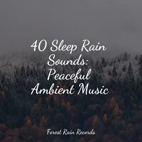 Water, Creek, Stream, Birds - Weather Factory & Massage Tribe & Baby Lullabies Music