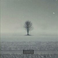 Inner wold - krasssnov