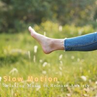Slow Down Stress Absorption - Relax α Wave
