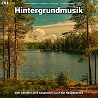 Hintergrundmusik pt. 35 - Entspannungsmusik Olivia Lehen & Schlafmusik & Entspannungsmusik
