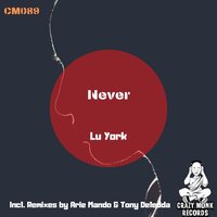 Never - Lu York & Arie Mando