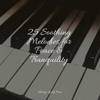 Chilling and Sleeping - Piano Suave Relajante & Baby Sleep & Piano Music for Exam Study