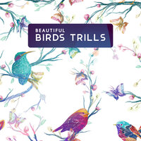Mountain Nature - Relaxing Nature Sounds Collection & Singing Birds Zone