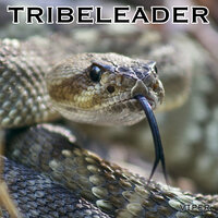 TECH DRILL 3 - Tribeleader
