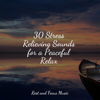 Journey of Peace - Kinderlieder-Superstar & Relaxing Music Therapy & Nature Sound Series