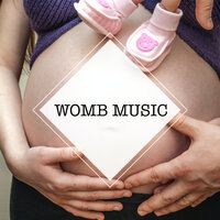 White Noise Womb (Loopable, No Fade) - Womb Music & Deep Sleep Systems & Anxiety Relief
