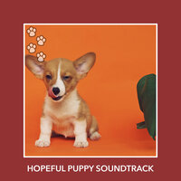 Sweet Puppy Sunshine - Dog Chill Out Music