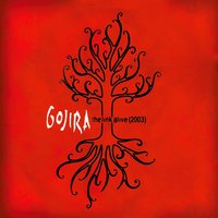 Wisdom Comes - Gojira