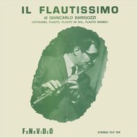 Fuego del sud - Giancarlo Barigozzi