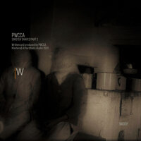Shape Z - PWCCA