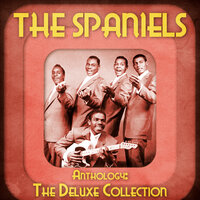 House Cleaning - The Spaniels