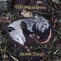 Серые стены, мутные окна - 4 Позиции Бруно