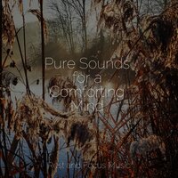Air and Feathers - Massage Tribe & Meditation & Trouble Sleeping Music Universe