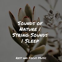 Sunrise - Relaxation Music Guru & Chakra Balancing Sound Therapy & Massage