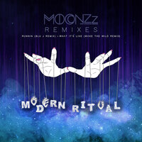 What It's Like - MOONZz & Wake the Wild