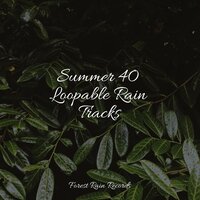 Under Shelter Strong Rains - Pacific Rim Nature Sounds & Study Music & Sounds & ZEN