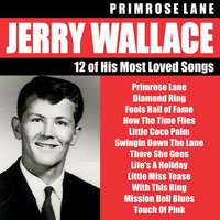 Touch of Pink - Jerry Wallace
