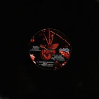Rejected - Allure
