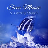 Sleep Through the Night - Deep Sleep Music Maestro