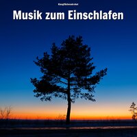 Zeit genießen im Nebel - Klangflächenakrobat