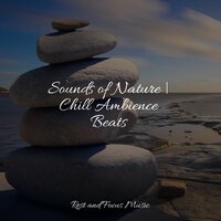 Good Night Tale - Study Music & Sounds & Music to Relax in Free Time & Alpha Brain Waves