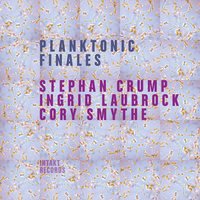 Bite Bright Sunlight - Cory Smythe & Ingrid Laubrock & Stephan Crump