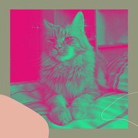 Атмосфера (Кошки) - высший Кошачья музыка