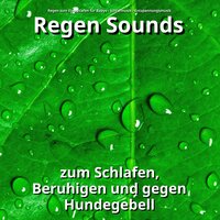 Regen Sound zum Lernen - Regen zum Einschlafen für Babys & Schlafmusik & Entspannungsmusik